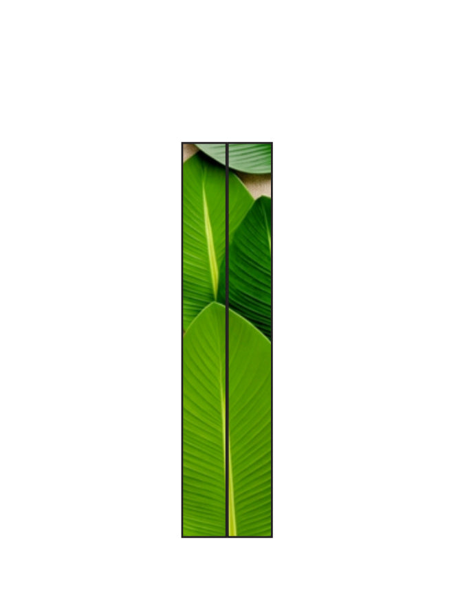 Left_Shoulder_2_c_17.jpg